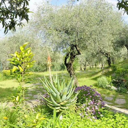 Oliveto Del Garda *